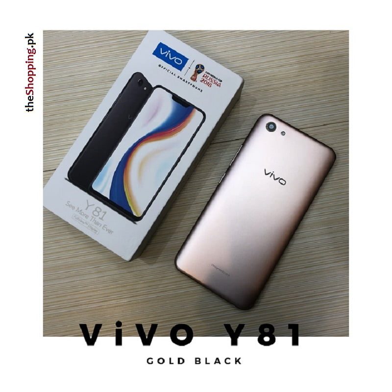 ViVO Y81